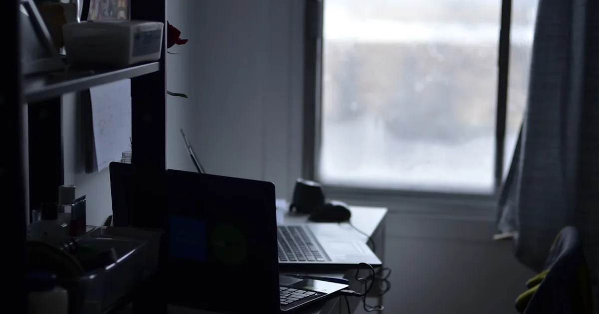 estudante universitário brasileiro ilustrando aulas particulares em home office com planta e luz natural (Aulas Particulares e Mentoria: Com