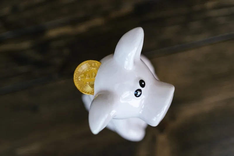 Brasileiro organizando investir pouco dinheiro em casa